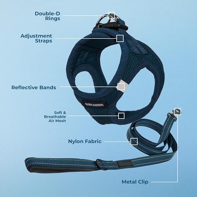 Best Pet Supplies Voyager Step-in Air All Weather Mesh Harness and Reflective Dog 5ft Leash Combo with Neoprene Handle, for Small, Medium and Large Breed Puppies - Blue, Medium