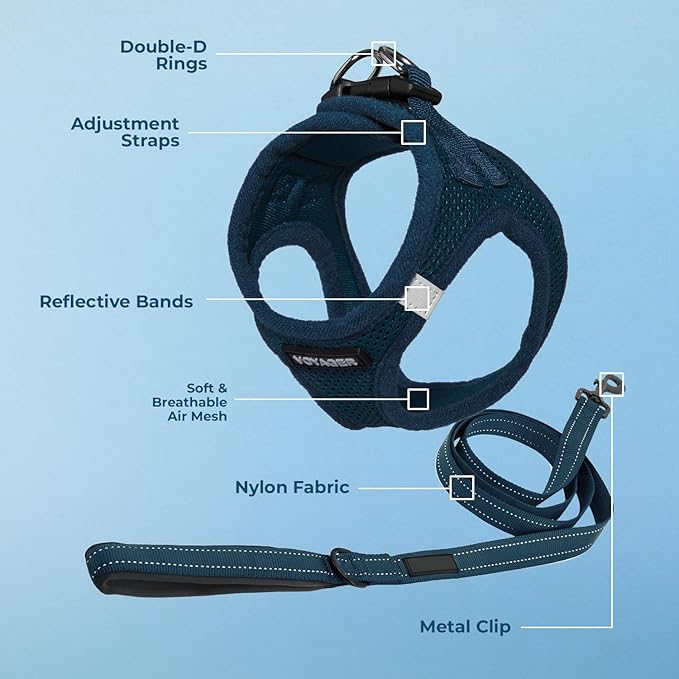 Best Pet Supplies Voyager Step-in Air All Weather Mesh Harness and Reflective Dog 5ft Leash Combo with Neoprene Handle, for Small, Medium and Large Breed Puppies - Blue, XX-Small