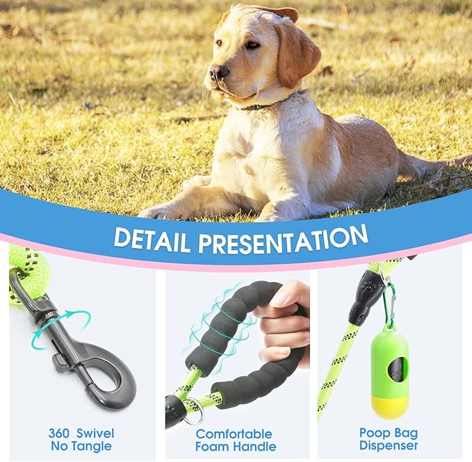 BAAPET 2/4/5/6 FT Dog Leash with Comfortable Padded Handle and Highly Reflective Threads for Small Medium and Large Dogs (4FT-1/2'', Green)