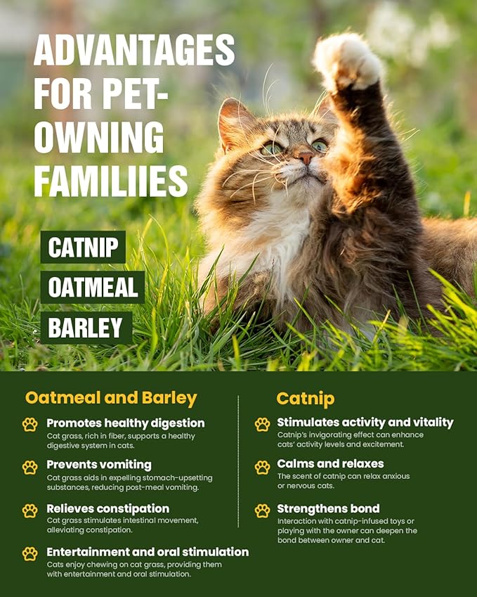 Cat Grass & Catnip Seeds Kit - Fast Growing Indoor Cat Grass (3-7 Days),Wheat Oat Barley Pet Grass for Hairball Control & Digestive Health