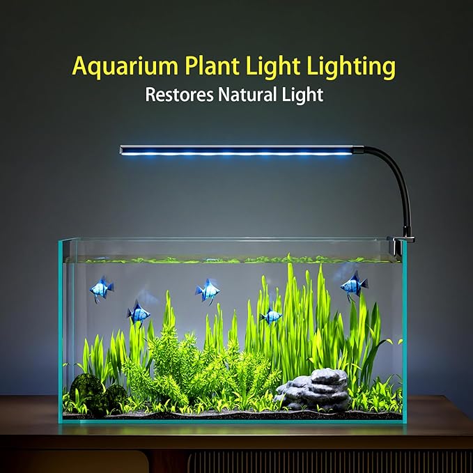 Clip On Aquarium Light for 1-5 Gallon Small Fish Tank – 3 Colors & 10 Dimmable Brightness Levels, Flicker-Free Full Spectrum LED Fish Tank Light with USB for Betta, Desktop, Nano Tank