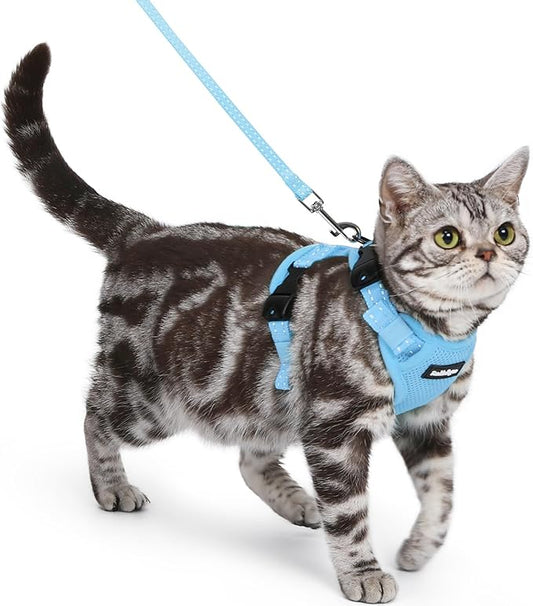 rabbitgoo Cat Harness and Leash, Escape Proof Vest with 3 Adjustable Buckles, Soft Comfortable Kitten Harness, Easy to Wear, Reflective for Safe Outdoor Walking, Small, Sky Blue