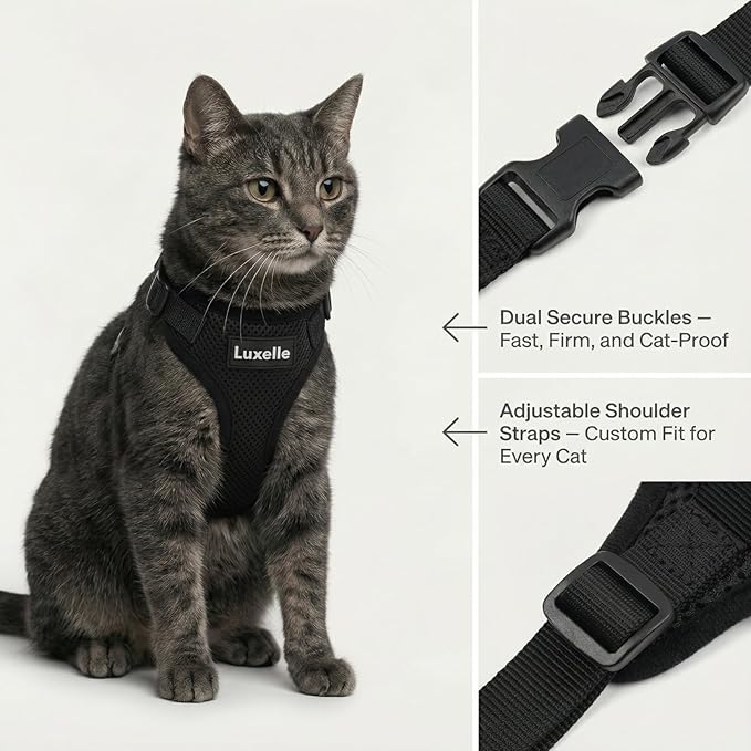 Luxelle 2 Pack Escape-Proof Cat Harness and Leash Set for Walking – Adjustable No Pull Soft Vest with Easy-Wear Buckle, Reflective Straps, Breathable Mesh – Outdoor Travel Harness for Cats & Kittens