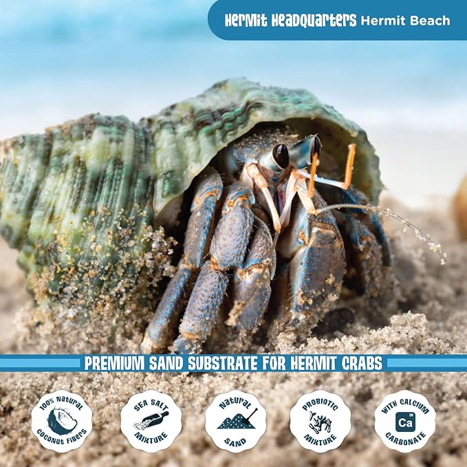 Fluker's All Natural Premium Hermit Crab Sand Substrate, Sand Mixture with Coconut Fiber, for Hermit Crab Tanks, 12 lbs. (Pack of 2)