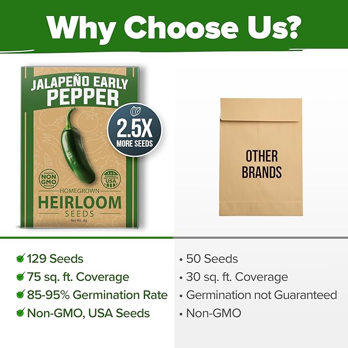 HOME GROWN Jalapeno Pepper Seeds 129+ Heirloom Non-GMO Seeds for Planting, High Germination, Mild to Medium Heat Hot Peppers, Prolific Garden Crop, Perfect for Salsa & Pickling (Capsicum annuum)