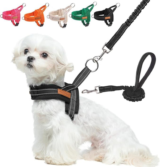 BEAUTYZOO Dog Harness for Small Dogs, No Pull Dog Harness and Leash Set, Soft Escape Proof Puppy Vest Harness with Handle, Reflective Lightweight Step in Harness for Girl Boy Dogs, Black XS