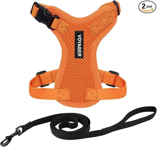 Voyager Escape-Proof Step-in Lock Cat Harness & 5ft Neoprene-Handle Leash Set All-Weather Mesh with Reflective Stitching for Small to Large Cats by Best Pet Supplies, Orange, XXS