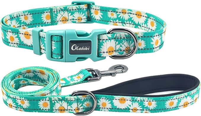 Dog Collar Leash Set, Floral Pattern, with Safety Reflective Strips, 5 ft Matching Leash, Neoprene Padded Handle, Adjustable 4 Sizes for Small Medium Large Dogs.(XS, Green Daisy)