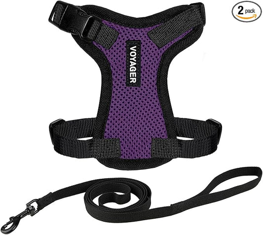 Voyager Escape-Proof Step-in Lock Cat Harness & 5ft Neoprene-Handle Leash Set All-Weather Mesh with Reflective Stitching for Small to Large Cats by Best Pet Supplies, Purple/Black Trim, XXXS
