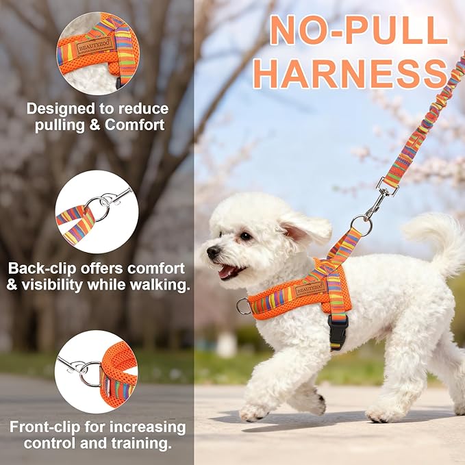 BEAUTYZOO Dog Harness for Small Dogs,No Pull Dog Harness and Leash Set,Soft Breathable Escape Proof Puppy Vest Harnessss with Handle,Lightweight Quick Fit Harness for Girl Boy Dogs Training Walking,XS