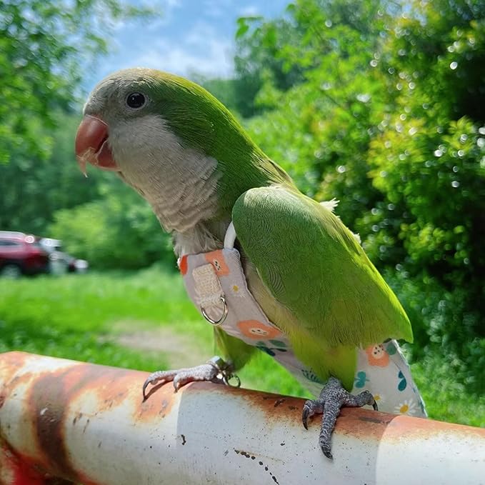 Snap-Closure Parrot Diaper Flight Suit for Cockatiels, Lovebirds & Medium Birds Cotton Washable Escape-Proof Harness with Leash Set(Rainbow Honey Sucking Model+1 Meter Rope)