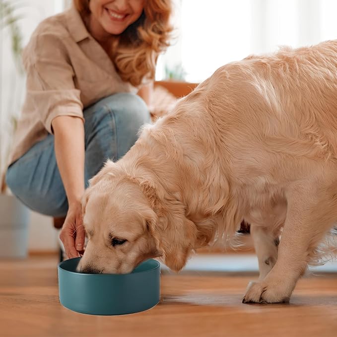 Ceramic Set of 2 Dog Bowls - Classic Dogs Food & Water Bowl for Small and Medium Breed, Heavy-Duty Non-Slip Dog Dishes, Food Grade Pet Bowl, Dishwasher & Microwave Safe (6'', 2*30OZ, Green)