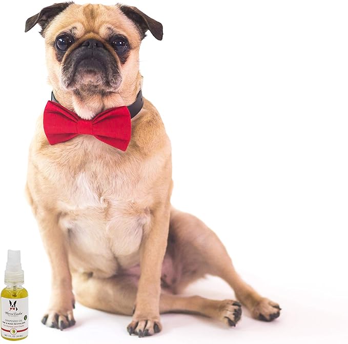 Warren London Nose & Paw Pad Moisturizer for Dogs - Grapeseed Oil & Essential Oil Blend - Instant Relief Revitalizing & Moisturizing Spray for Softer Dog Paws - Made in USA - 1oz