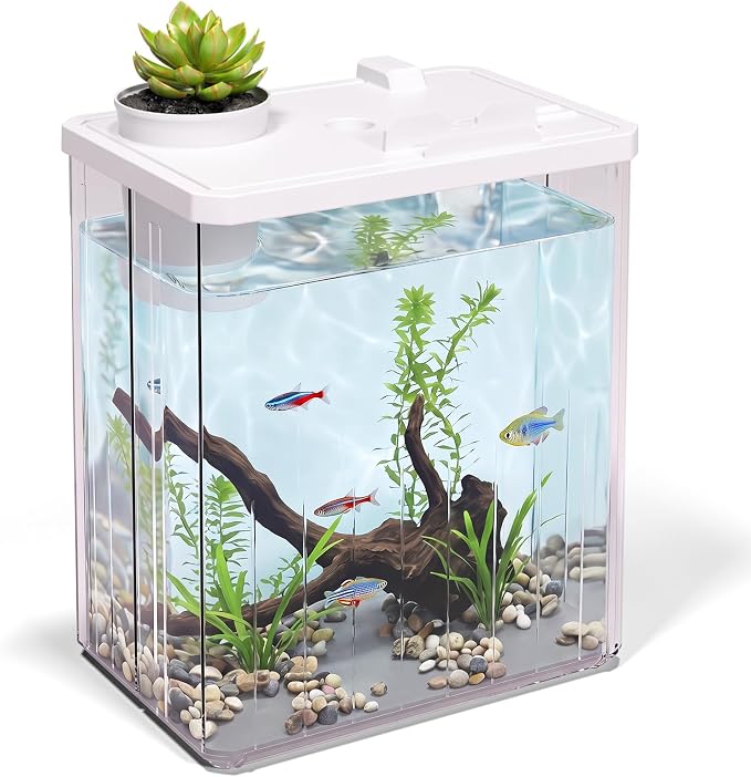 2 Gallon Betta Fish Tank Aquarium Starter Kit with Light and Lid(White) | Premium Acrylic Aquarium with Light and Lid, Crystal Clear Starter Kit for Betta Fish, Shrimp, Snails and Small Fish