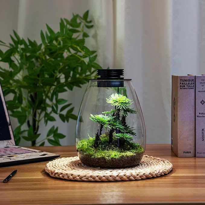 Desktop Glass Plant Terrarium with Grow Light for Carnivorous Plants & Moss | H 7.8 x D 6.7 in; Timer Auto On/Off; For Succulents, Mini Plants and Betta Tanks; Indoor Decor for Home or Office; Gifts