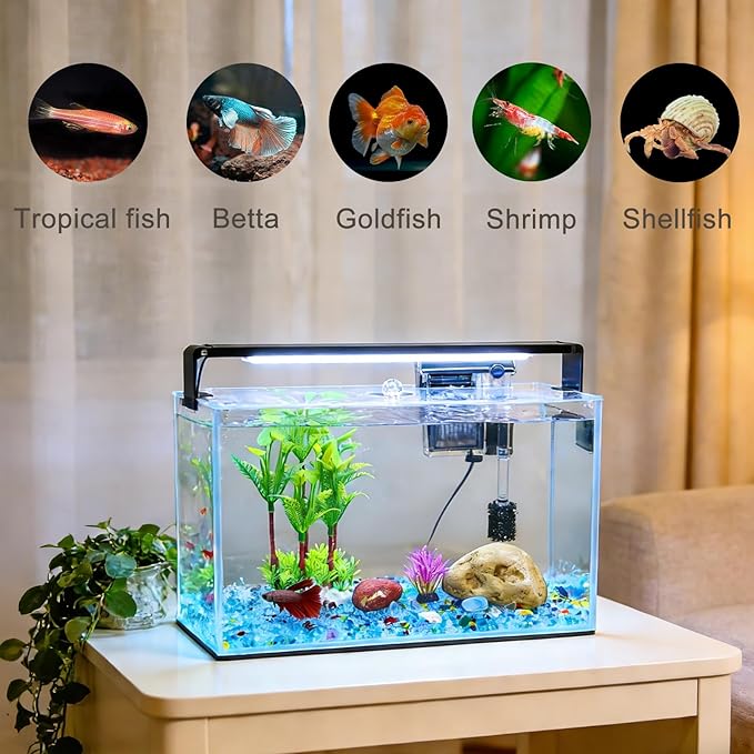 3.2 Gallon Fish Tank, Nano Nature Aquarium,Small Aquarium Starter Kit,Ultra-Clear Rimless Desktop Small Aquarium with Filter,Light,Rainforest Sand,Rock for Betta,Shrimp,Goldfish,Clear Glass