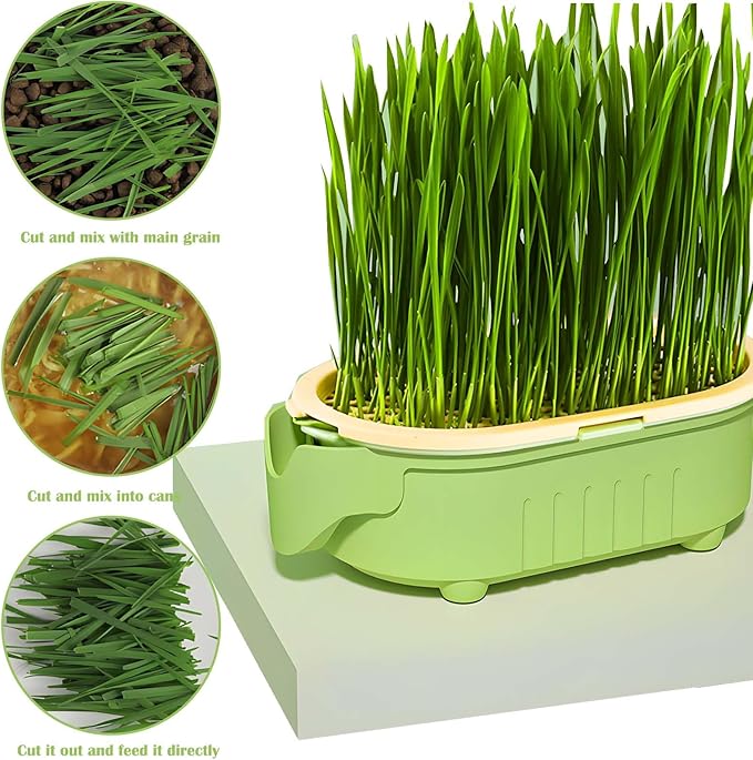 3-Level Hydroponic Cat Grass Planter Box - Ideal for Indoor Cats, No Seeds or Catnip Included