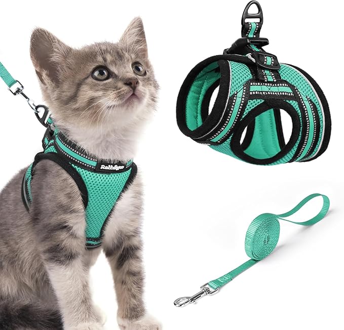 rabbitgoo Cat Harness and Leash Set for Walking Escape Proof, Adjustable Soft Kittens Vest with Reflective Strip for Cats, Comfortable Outdoor Vest,Green,S