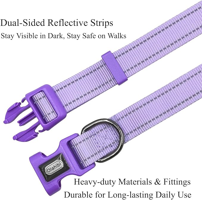 Dog Collar Leash Set, with Relfective Strips, Lilac Purple, Large. | Adjustable Collar,5 ft Matching Leash,Neoprene Padded Handle.