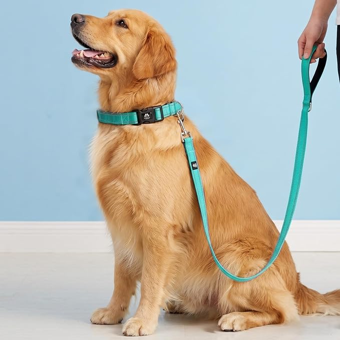 FURRYFECTION Reflective Dog Collar and Leash Set with Quick Release Buckle, Padded with Neoprene Adjustable Nylon Dog Collar for Small Medium and Large Dogs (Medium Collar+5FT Leash, Teal)