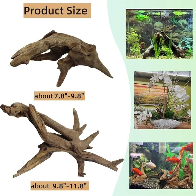 Driftwood for Aquarium Decor, Fish Tank Decor, 2 Pcs Reptile Branches, Drift Wood for Fishtank, Aquarium Hardscape, Betta Fish Decor, Reptiles Driftwood Branch (Driftwood 7.8-11.8 Inch (Pack of 2))