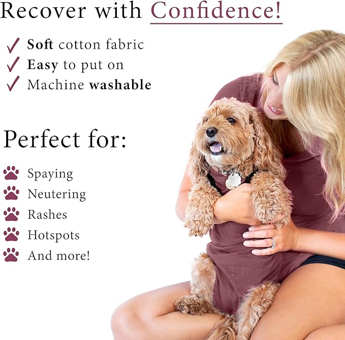 BellyGuard Dog Surgery Recovery Suit, Dog Onesie for Post-Op Care, Recovery Apparel for Female and Male, Surgical Body Cover for Canine Healing Support