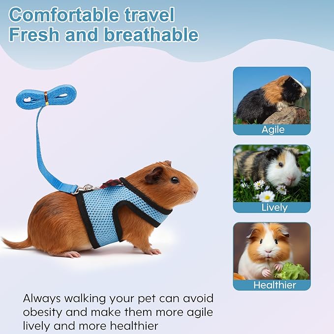 Guinea Pig Harness and Leash，2packs Guinea Pig Clothes Baby Ferret Rats Hamster Soft Mesh Harness Leash for Decoration，Hamster Harness can be Adjusted to Any Size. (Blue + Orange)