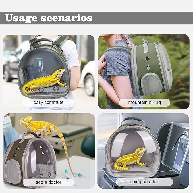 WEVONIGU Expandable Small Animal Backpack Carrier with Clear Bubble Window Large Space Travel Cage for Hedgehog Rat Parrot,Bearded Dragon,Sugar Glider,Airline Approved (Army Green, BE Backpack)