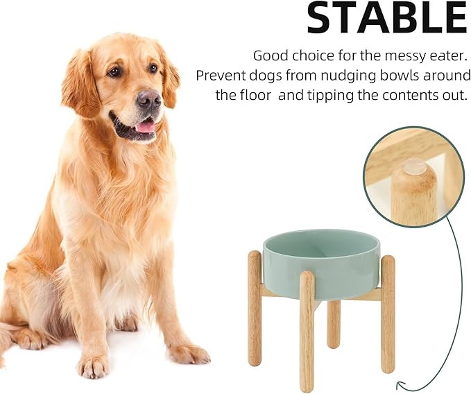 Havniva Ceramic 8.2inch Raised Dog Bowl with Stand for Large - Breed Dogs, Pet Food and Water Feeder(Single Bowl with Stand - Light Green)