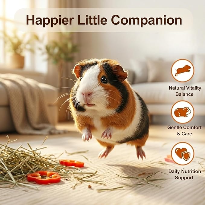 Guinea Pig Vitamin C Liquid Drops Guinea Pigs Accessories Supplement Supplies for Food Essentials Water Drops and Treats No-Drip Formula (4 fl oz)