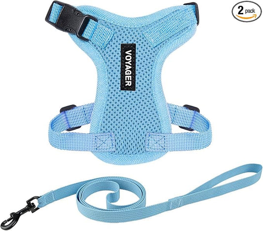 Voyager Step-in Lock Adjustable Cat Harness w. Cat Leash Combo Set with Neoprene Handle 5ft - Supports Small, Medium and Large Breed Cats by Best Pet Supplies - Baby Blue, XXXS