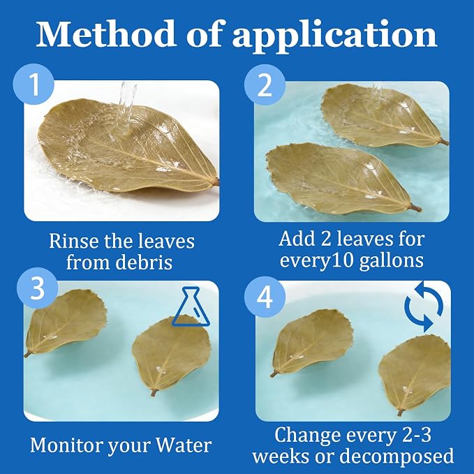 200Pcs Indian Almond Leaves Kabo Leaves Aquarium Decor Water Conditioner | Sealed Package,for Betta Fish Shrimp Goldfish Guppy,Betta Fish Tank Decor,Balance PH,Natural Tannins,Axolotl Tank Accessories