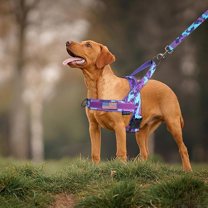 Annchwool No Pull Dog Harness with Padded Handle+5 Ft Leash,Escape Proof and Quick Fit to Adjust Dog Harness,Easy for Training Walking for Small & Medium and Large Dogs(Camo Purple Set,S)