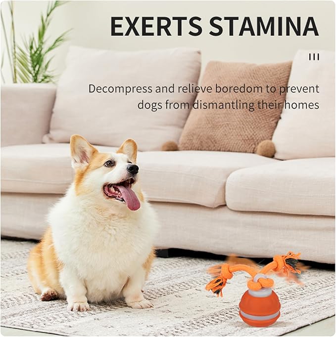 2PCS Interactive Dog Toys Dog Ball,Automatic Rolling and Bouncing Moving Dog Toy,Squeaky Rolling Balls with Flashing Light,USB Rechargeable Chew Toys for Puppy Small Dogs, Pet Ball to Keep Them Busy