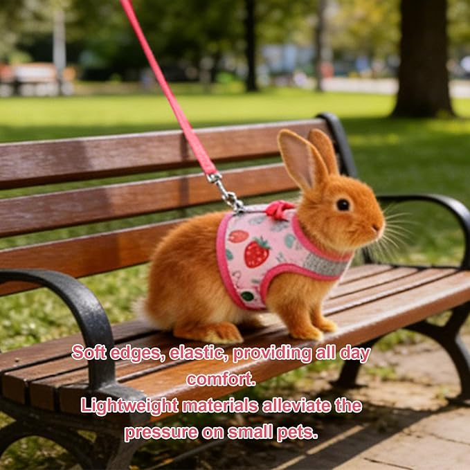 Small Pet Harness and Leash, Escape Proof Rabbit Vest with Soft Edges Dual Safety Buckles for Bunny Guinea Pig Ferret Chinchilla (S)