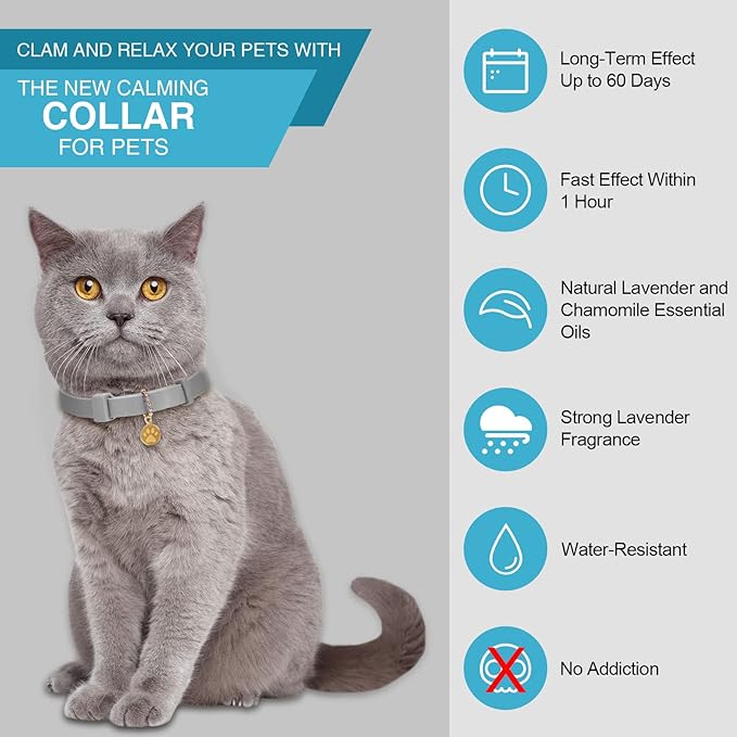 Weewooday 4 Pcs Cat Calming Collar Adjustable Pheromones Scent Relaxing Cat Collar with 2 Pendant for Puppies Reduce Stress Aggression Anxious, up to 15 Inches(Grey, Silver)