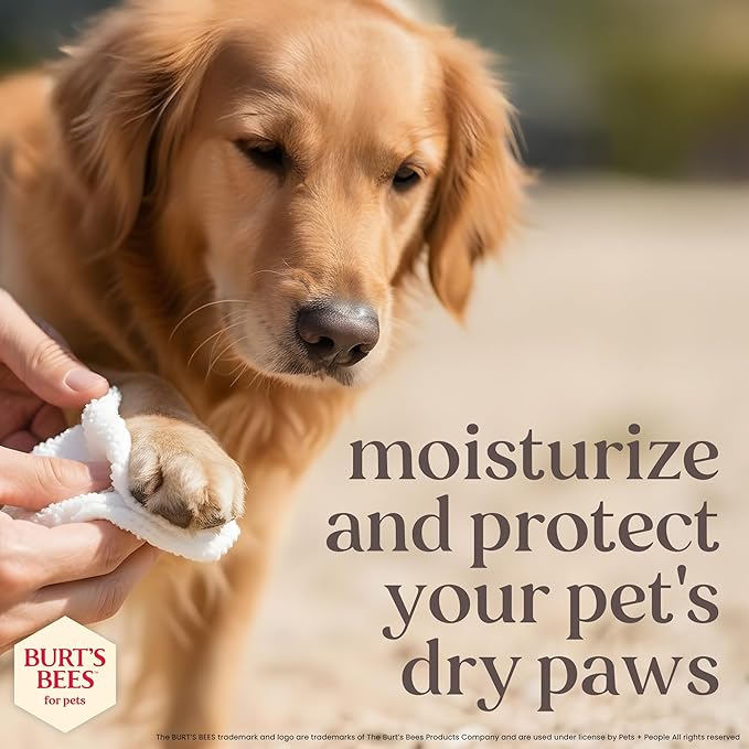 BURT'S BEES FOR PETS Paw Balm for Dogs with Manuka Honey and Coconut Oil, Soothes Dry Dog Paws, Naturally Derived Ingredients, 1.76 Oz
