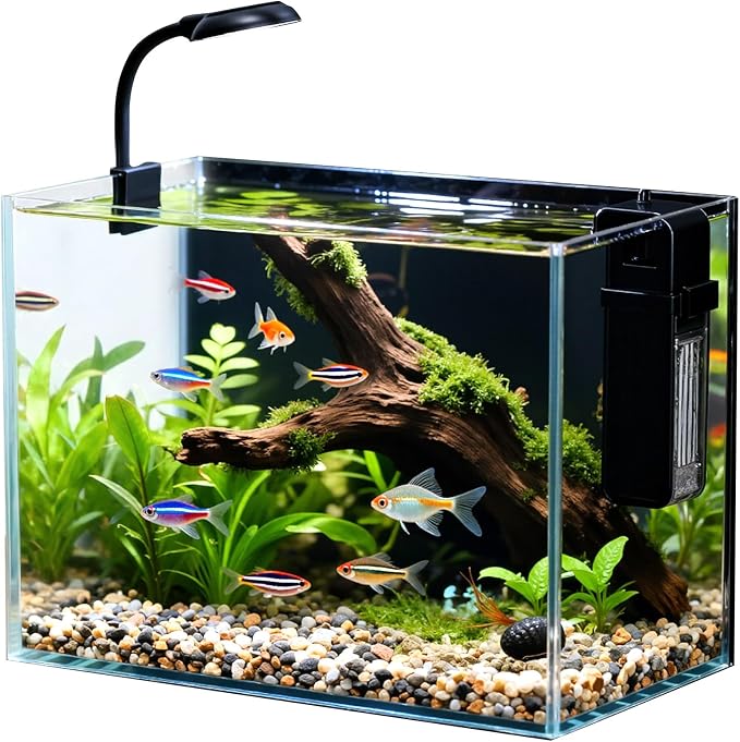 2.5 Gallon Small Fish Tank, Desktop Nano Aquarium with Filter | Ultra-Clear Glass Starter Kit with Lid, LED Light, Gravel and Rocks, Perfect for Betta, Shrimp and Live Plants