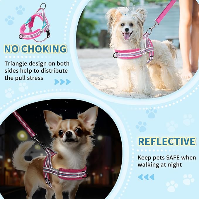Lukovee No Pull Dog Harness and Leash Set, Soft Padded Small Dog Harness, Neck & Chest Adjustable Reflective Vest Puppy Harness with 4ft Lightweight Anti-Twist Dog Leash for Small Dogs (XS, Fuschia)