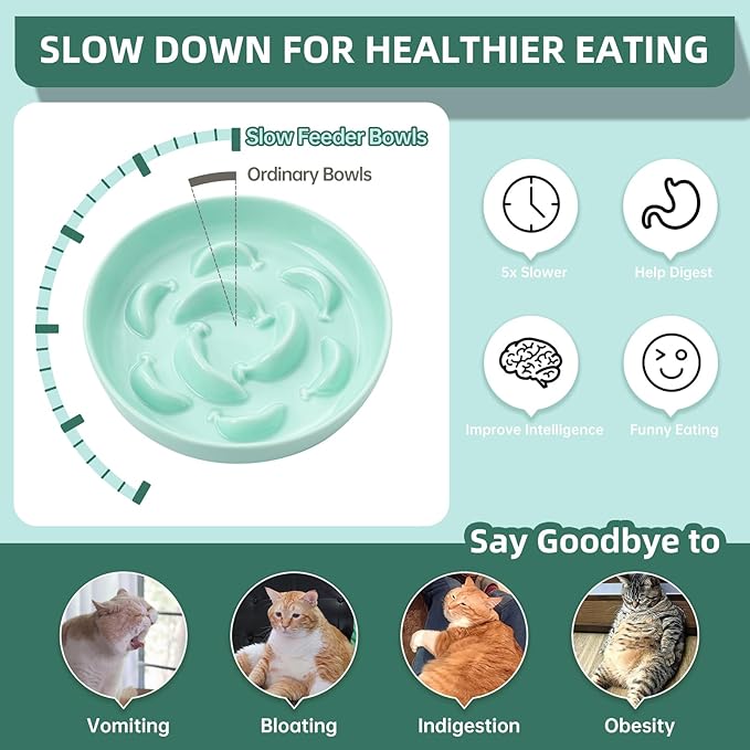 Ceramic Cat Slow Feeder Bowl - 6.3'' Wide Opening Whisker Friendly Cat Plate for Dry and Wet Food - Cute Maze Feeder Dish Helps Reduce Vomiting - Microwave and Dishwasher Safe - Green