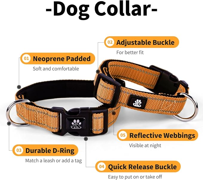 IVY&LANE Reflective Dog Collar and Leash Set,Adjustable Neoprene Padded Dog Collars for Puppy, Breathable Nylon Pet Collar for Small Medium Large Dogs (Large,Orange)