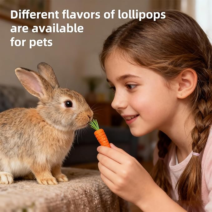 Rabbit Chew Toys, Treats for Guinea Pigs & Hamsters - Natural Chew Sticks & Balls Set for Small Animals, Dental Care Treats for Chinchillas, Bunny - 20+ Toys for Teeth Health (30 Pieces)
