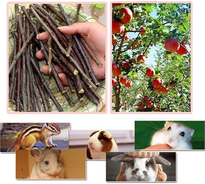 William Craft 250g Apple Sticks Small Animals Molar Wood Toys for Rabbits Chinchillas Guinea Pig Hamster Gerbil Bunny and Small Animal Chew Stick Toys