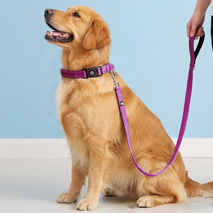 FURRYFECTION Reflective Dog Collar and Leash Set with Quick Release Buckle, Padded with Neoprene Adjustable Nylon Dog Collar for Small Medium and Large Dogs (Medium Collar+5FT Leash, Hot Pink)