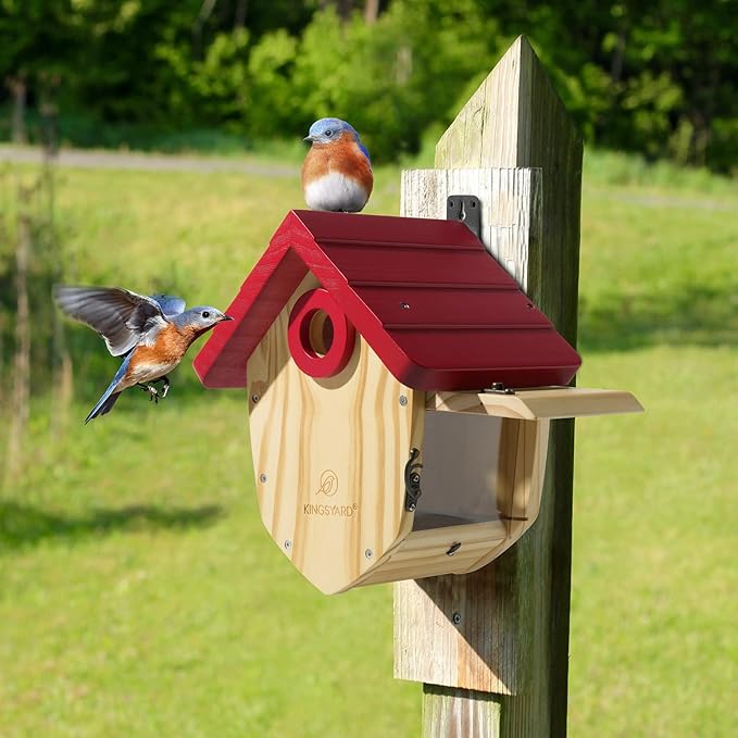 Kingsyard Wooden Bird House with Prdator Guard, Bird Nesting for Bluebird Wren Chickadee, Pine Cone Inspired Nest Box for Outdoor, Royal Blue