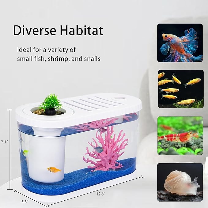 Fish Tank Kits,PC Small Aquarium Starter Kit,2.2 Gallon Nano Desktop Tank with Quiet Filter, Lid,Color-Changing Light&Decor for Betta Shrimp Guppy Jellyfish Goldfish Beta(12.6 * 7 * 5.6 Inch)