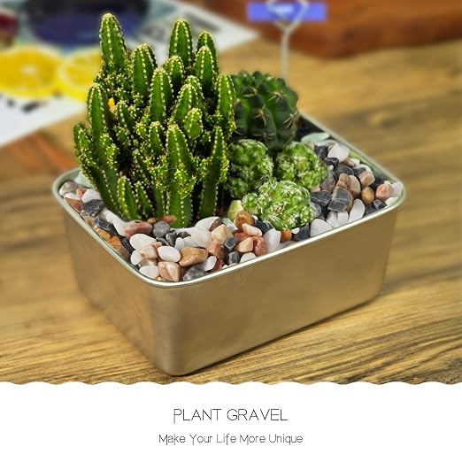 3Lb Pebbles for Succulents,River Rocks for Succulent Plants | Decorative Stones Bonsai Garden Pebbles,Succulent Rocks,Small Aquarium Rocks for Landscaping ,Plants,Vase Fillers