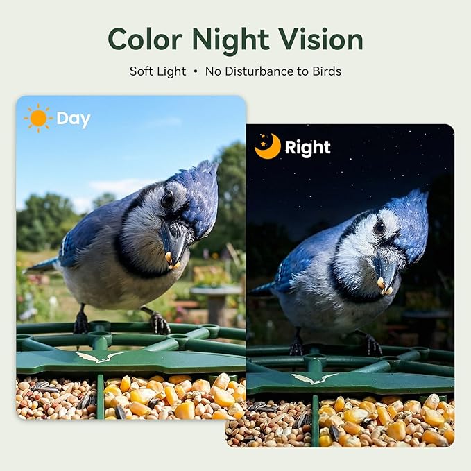 Smart Bird Feeder with Camera, AI Identify Birds Species, 2K HD Color Night Vision, IP65 Waterproof Solar Powered Bird Feeder with 142° Wide Angle, Auto Capture & Real-time Notifications, Ideal Gift