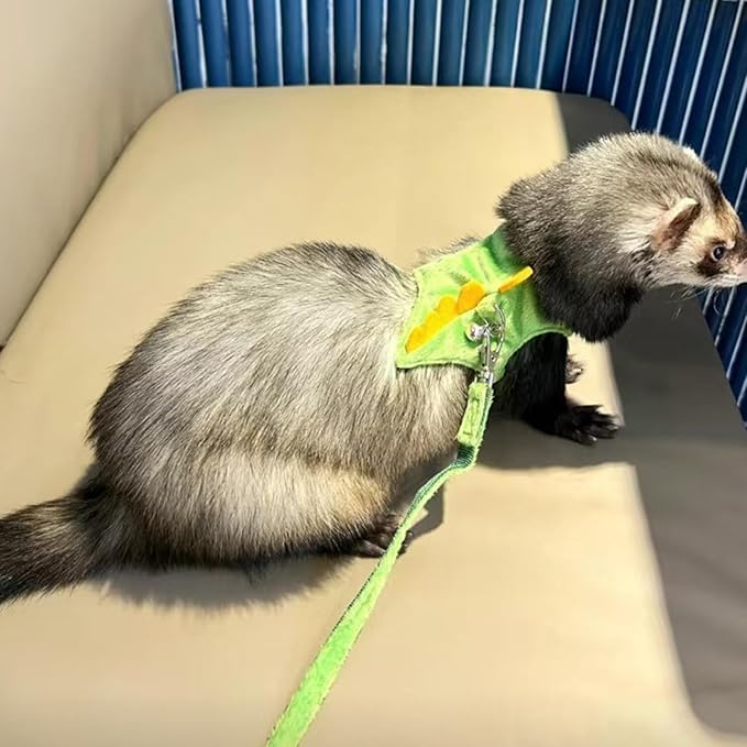 Ferret Harness and Leash Set Cute Dinosaur Design Soft Mesh Small Pet Harness Vest with Safe Bell Walking Clothes for Small Animals Ferret Rabbit Guinea Pig Squirrels (Green)