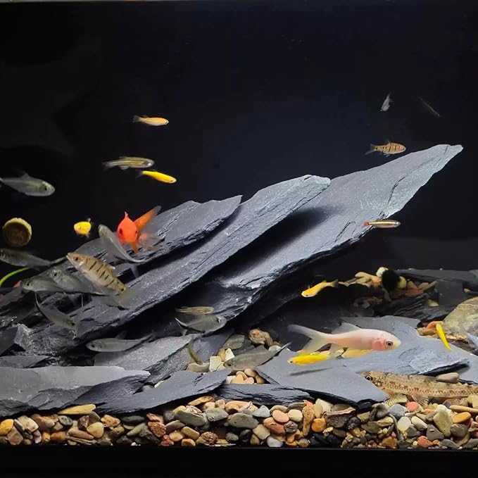 Slate Rock for Aquarium, 3-5 Inch Polished Natural Stone Rocks,20 lbs | Fish Tank Decor, Aquascaping Rocks, Safe for Aquariums, Terrariums